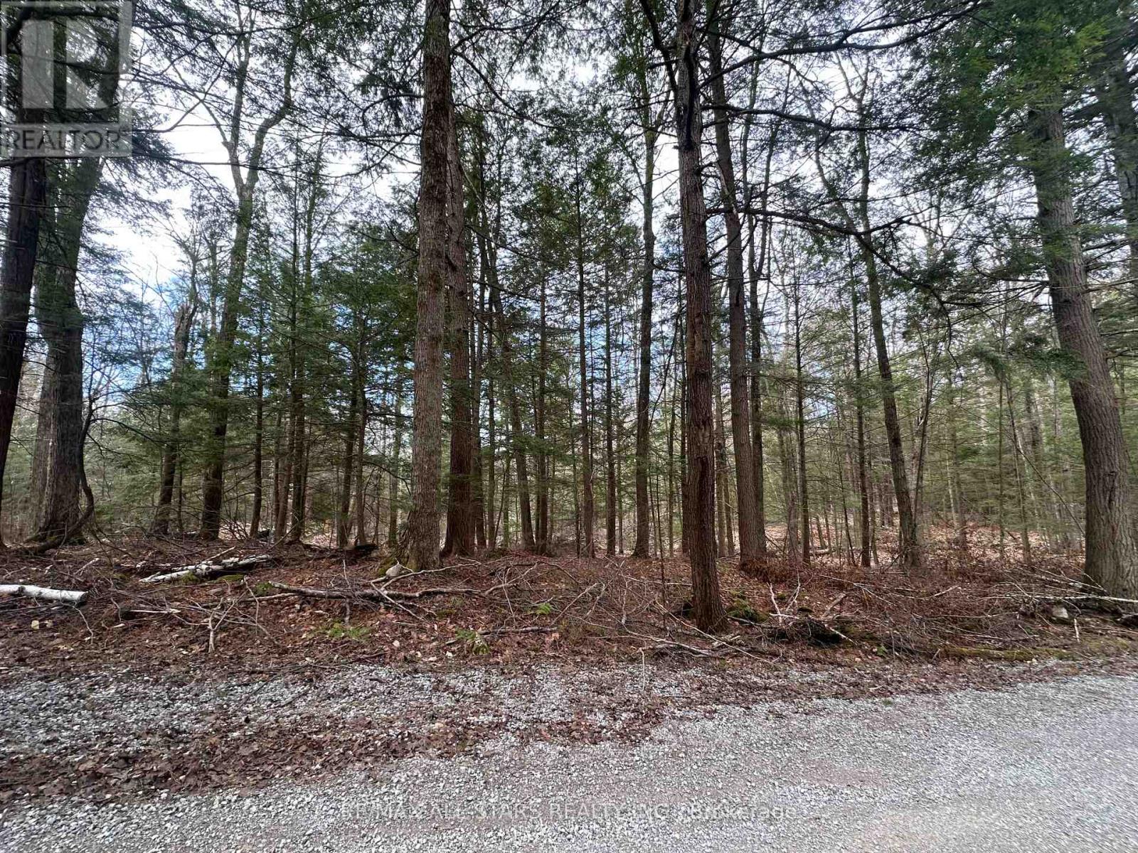0 Fire Route 267, Trent Lakes, Ontario  K0L 1J0 - Photo 6 - X13073896