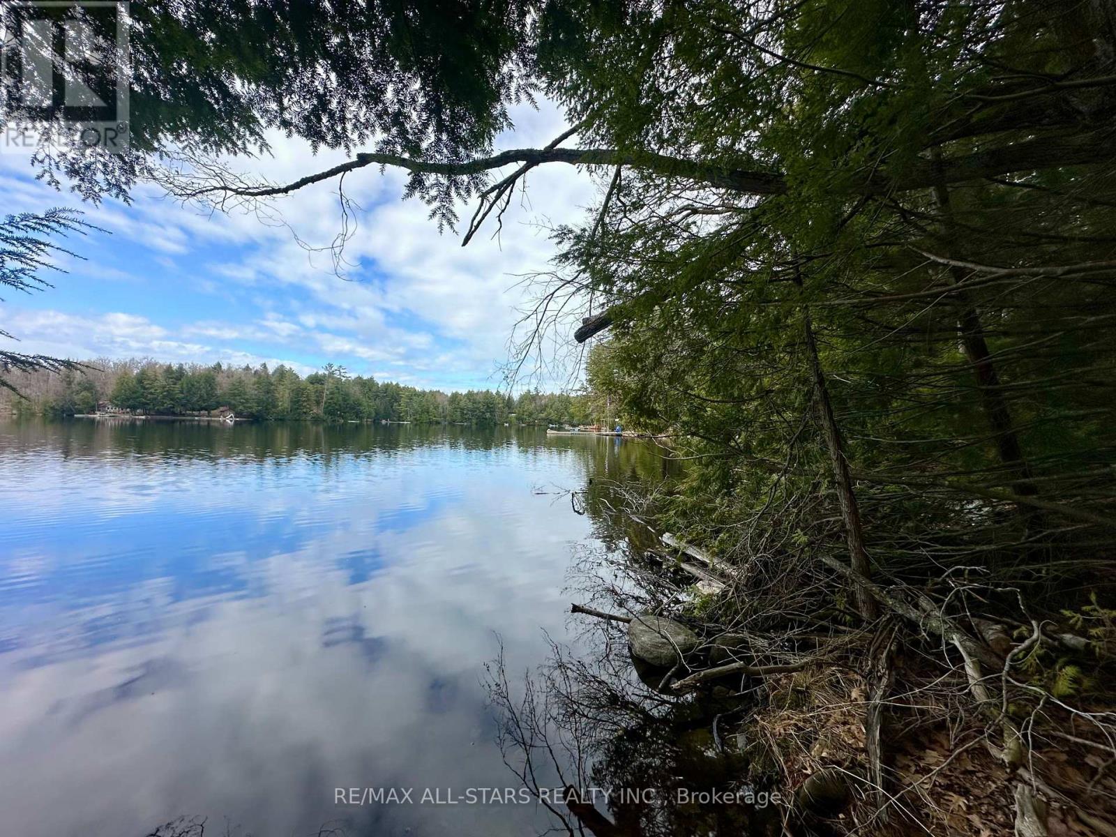 0 Fire Route 267, Trent Lakes, Ontario  K0L 1J0 - Photo 8 - X13073896