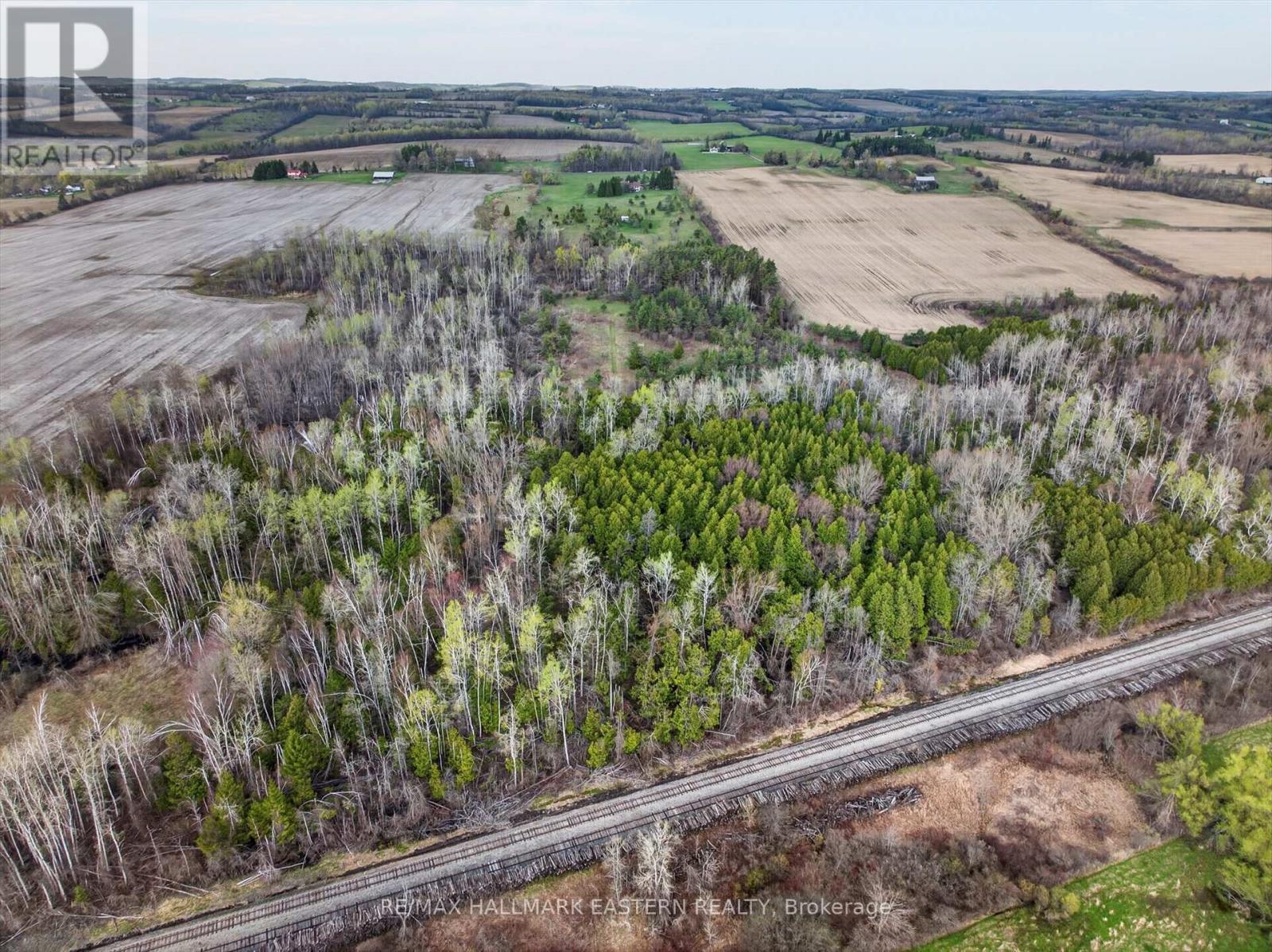 1229 Morton Line, Cavan Monaghan (Cavan Twp), Ontario  L0A 1C0 - Photo 6 - X13075004