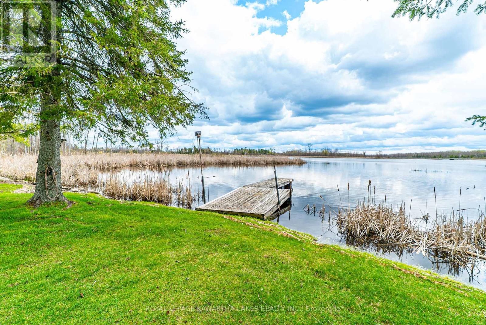 1 Bridle Road, Kawartha Lakes (Ops), Ontario  K9V 4R2 - Photo 43 - X13077400