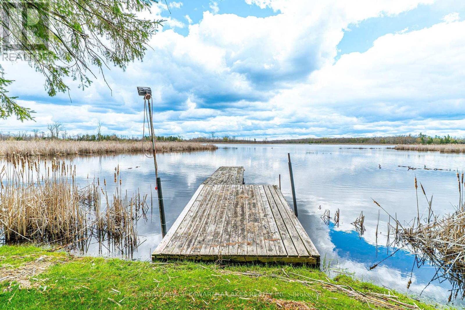 1 Bridle Road, Kawartha Lakes (Ops), Ontario  K9V 4R2 - Photo 44 - X13077400