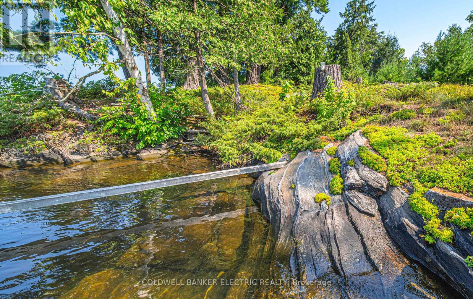 820 Island 28, Havelock-Belmont-Methuen, Ontario  K0L 1A0 - Photo 7 - X13077544