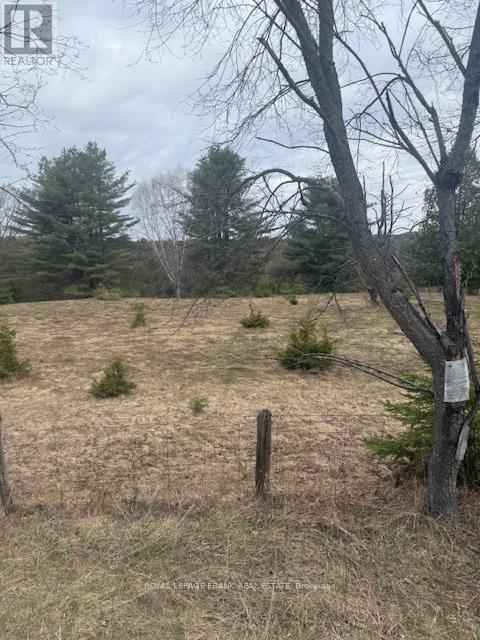 LOT 1 DETLOR ROAD, bancroft (dungannon ward), Ontario
