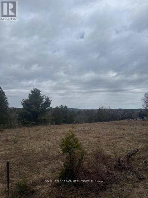 Lot 1 Detlor Road, Bancroft (Dungannon Ward), Ontario  K0L 1C0 - Photo 3 - X13080632