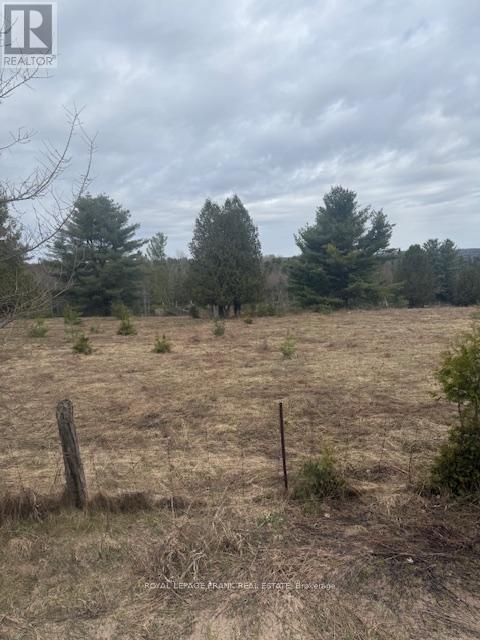 Lot 1 Detlor Road, Bancroft (Dungannon Ward), Ontario  K0L 1C0 - Photo 4 - X13080632