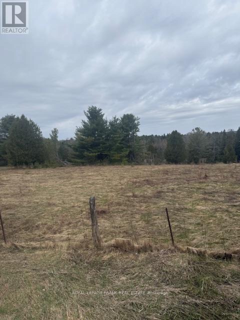 Lot 1 Detlor Road, Bancroft (Dungannon Ward), Ontario  K0L 1C0 - Photo 6 - X13080632