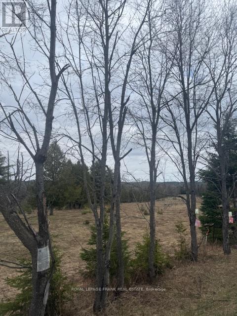 Lot 2 Detlor Road, Bancroft (Dungannon Ward), Ontario  K0L 1C0 - Photo 2 - X13080644