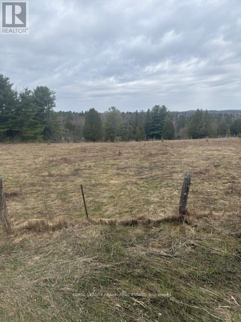 Lot 2 Detlor Road, Bancroft (Dungannon Ward), Ontario  K0L 1C0 - Photo 5 - X13080644