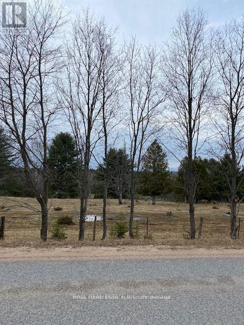 Lot 2 Detlor Road, Bancroft (Dungannon Ward), Ontario  K0L 1C0 - Photo 7 - X13080644