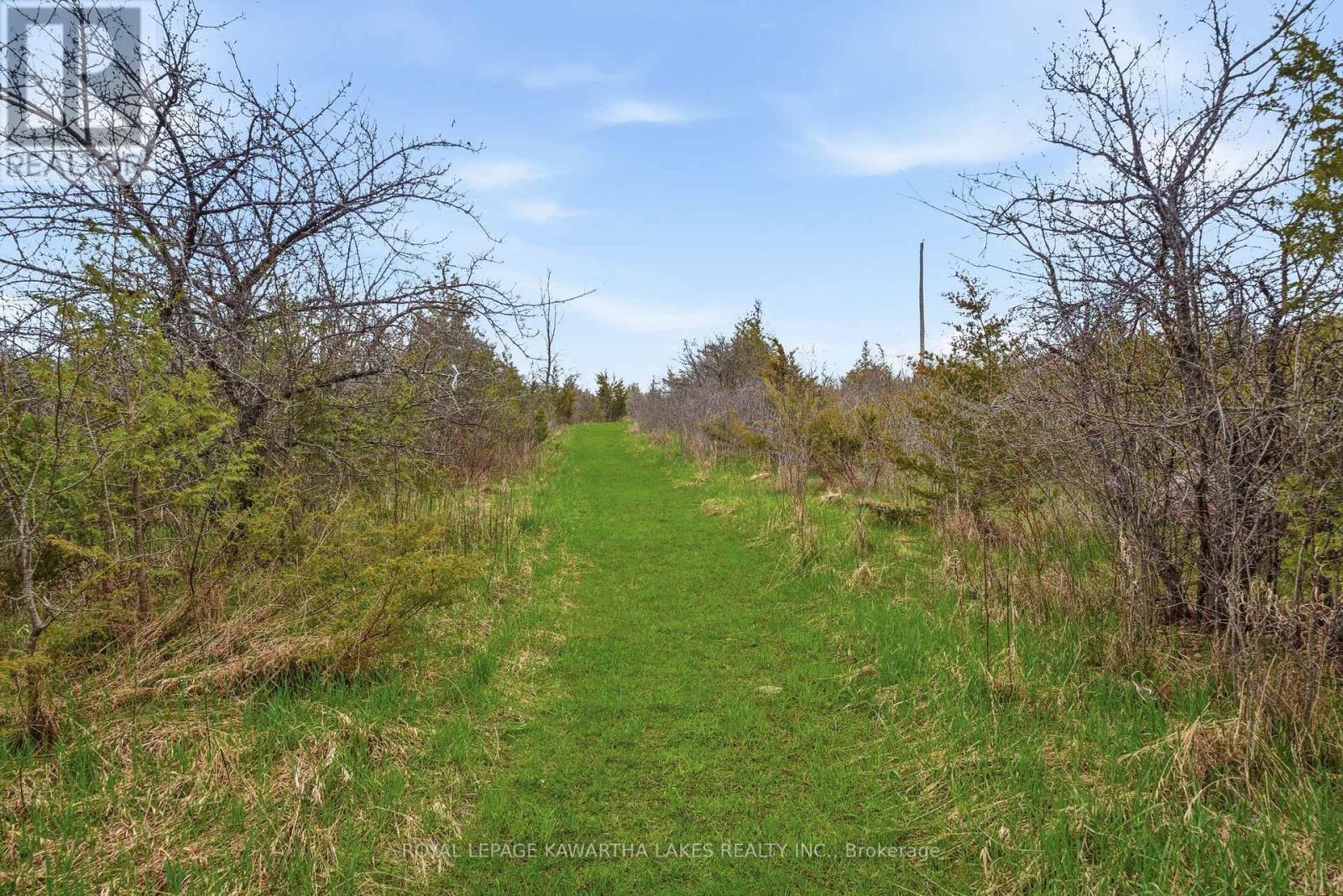 Pt Lt 17 Southside Road, Kawartha Lakes (Emily), Ontario  K9V 4R5 - Photo 15 - X13080968