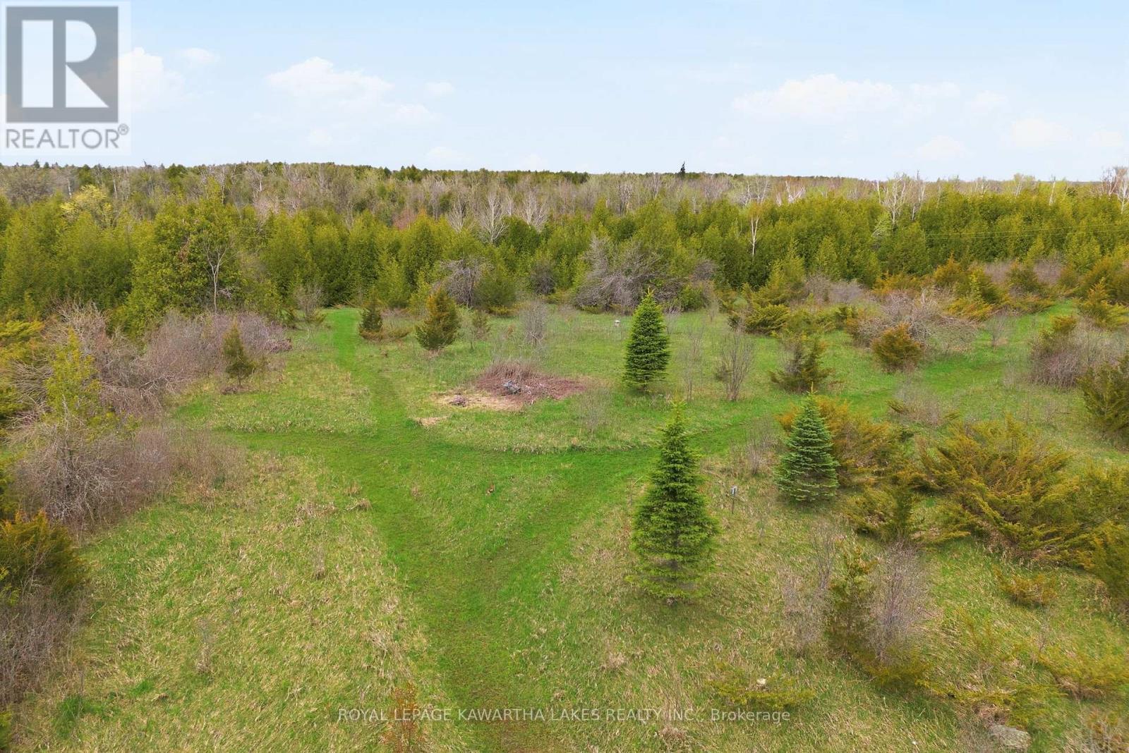 Pt Lt 17 Southside Road, Kawartha Lakes (Emily), Ontario  K9V 4R5 - Photo 17 - X13080968