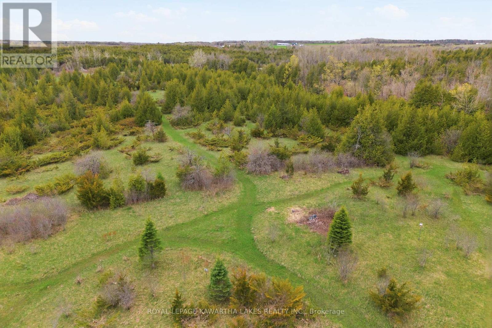 Pt Lt 17 Southside Road, Kawartha Lakes (Emily), Ontario  K9V 4R5 - Photo 18 - X13080968