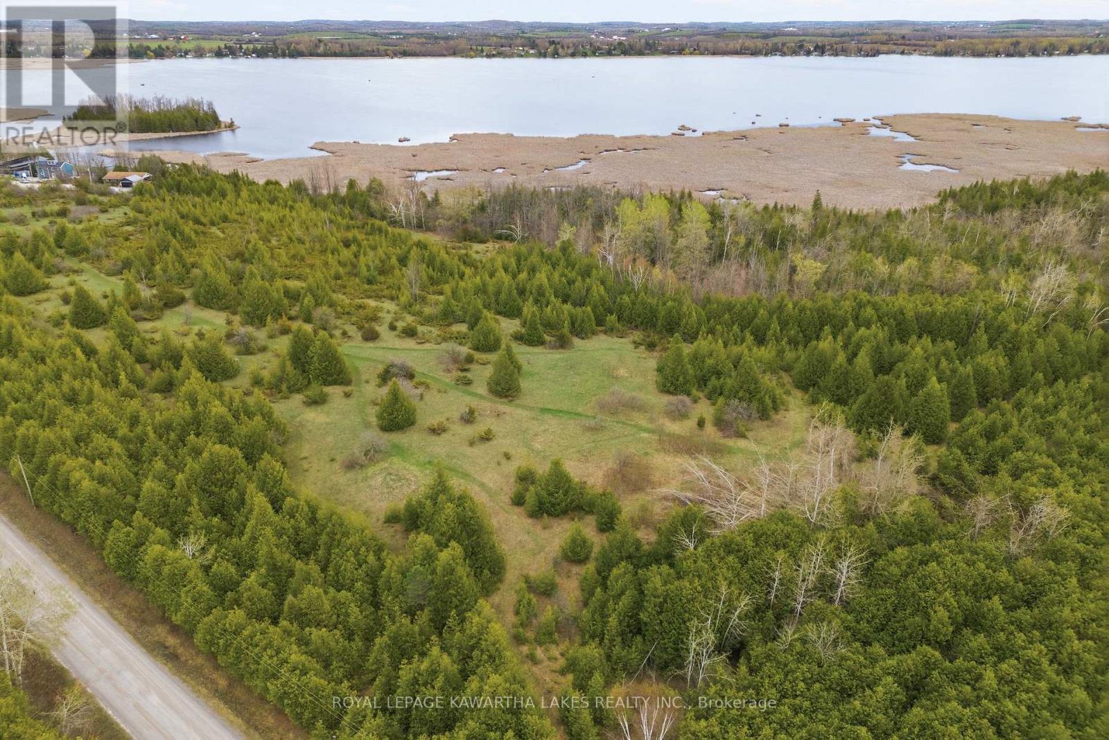 Pt Lt 17 Southside Road, Kawartha Lakes (Emily), Ontario  K9V 4R5 - Photo 19 - X13080968