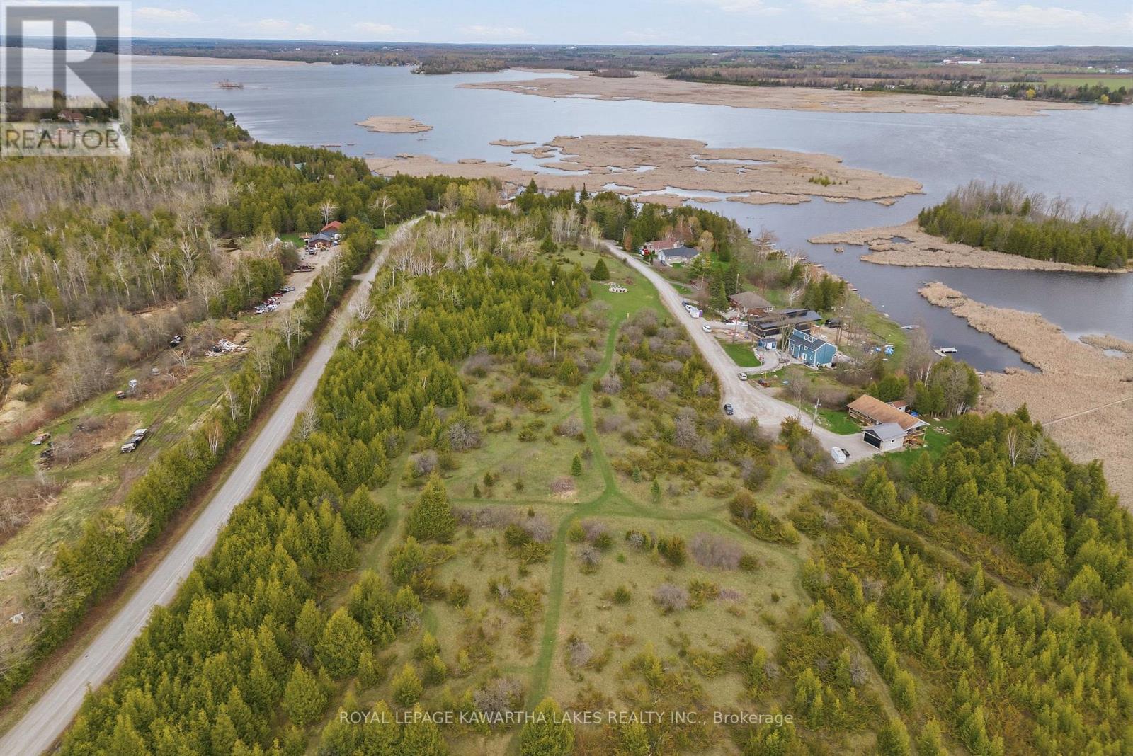 Pt Lt 17 Southside Road, Kawartha Lakes (Emily), Ontario  K9V 4R5 - Photo 20 - X13080968