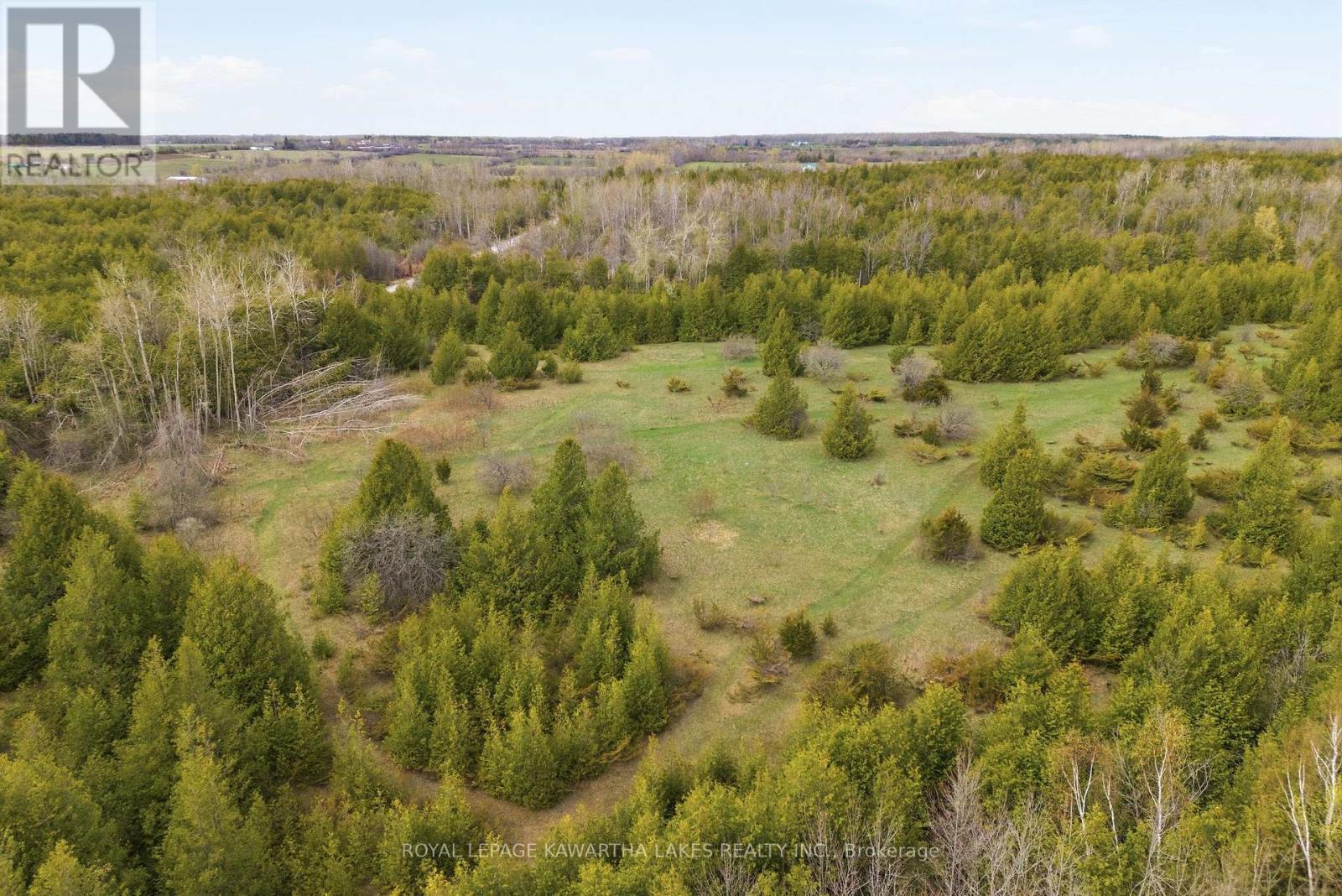 Pt Lt 17 Southside Road, Kawartha Lakes (Emily), Ontario  K9V 4R5 - Photo 22 - X13080968