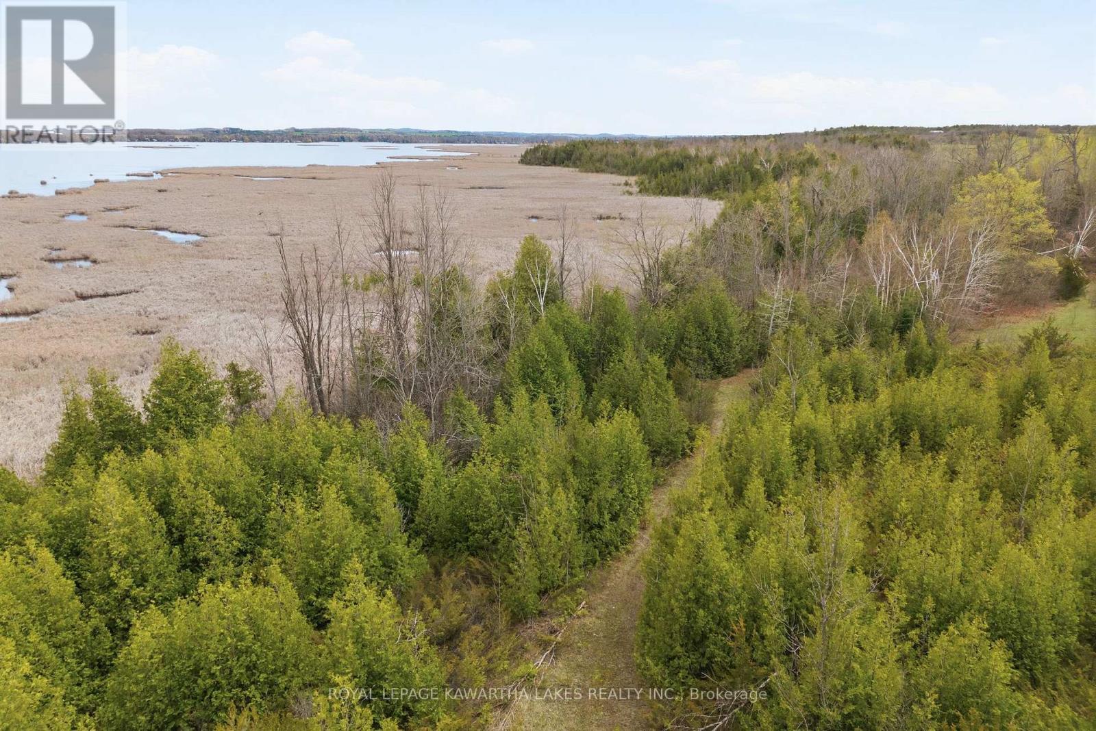 Pt Lt 17 Southside Road, Kawartha Lakes (Emily), Ontario  K9V 4R5 - Photo 23 - X13080968