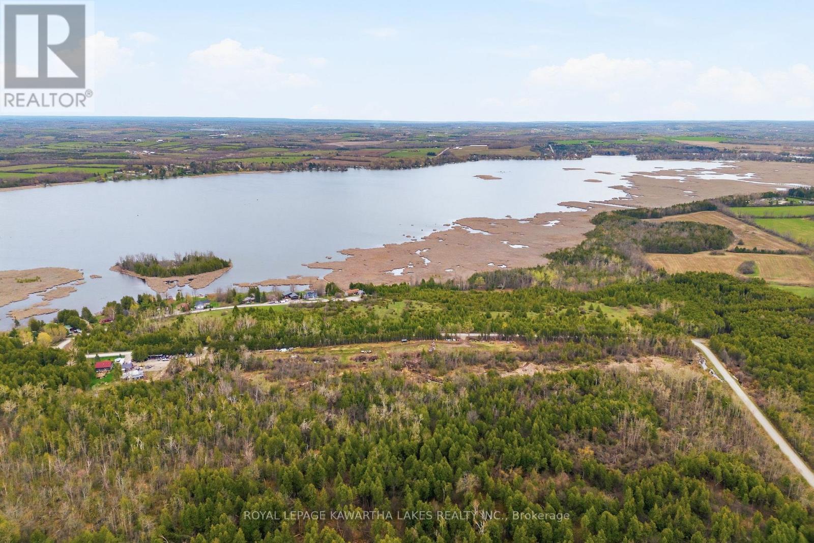 Pt Lt 17 Southside Road, Kawartha Lakes (Emily), Ontario  K9V 4R5 - Photo 4 - X13080968
