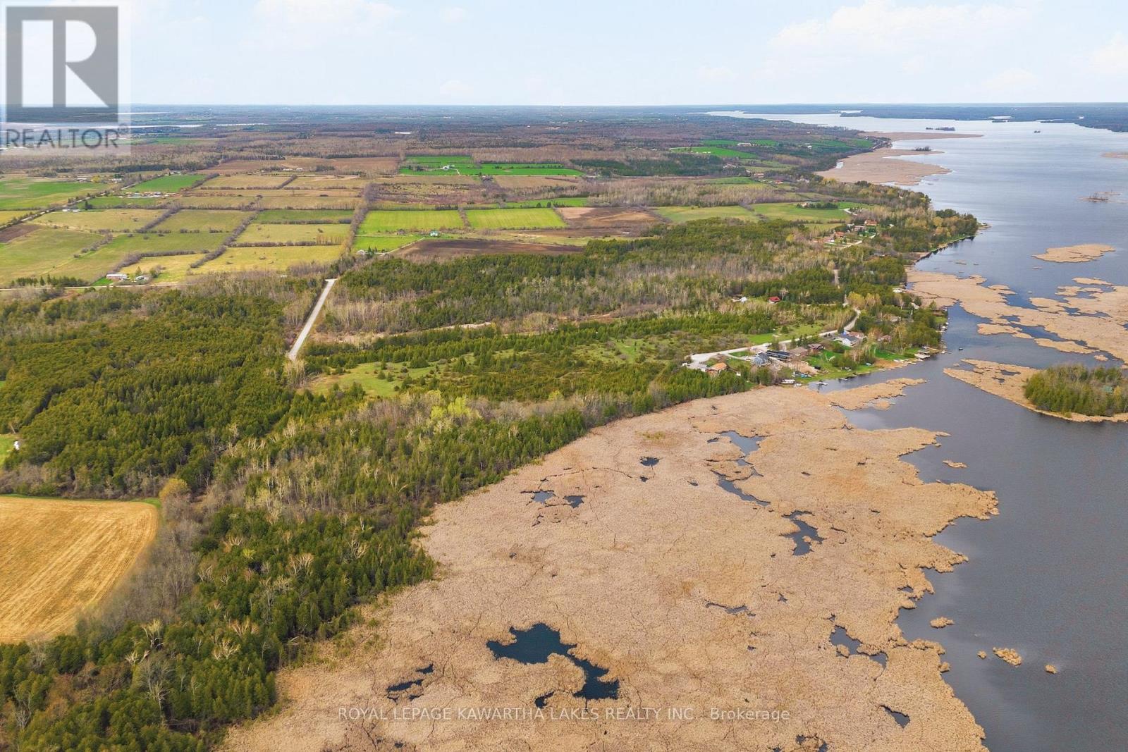 Pt Lt 17 Southside Road, Kawartha Lakes (Emily), Ontario  K9V 4R5 - Photo 7 - X13080968