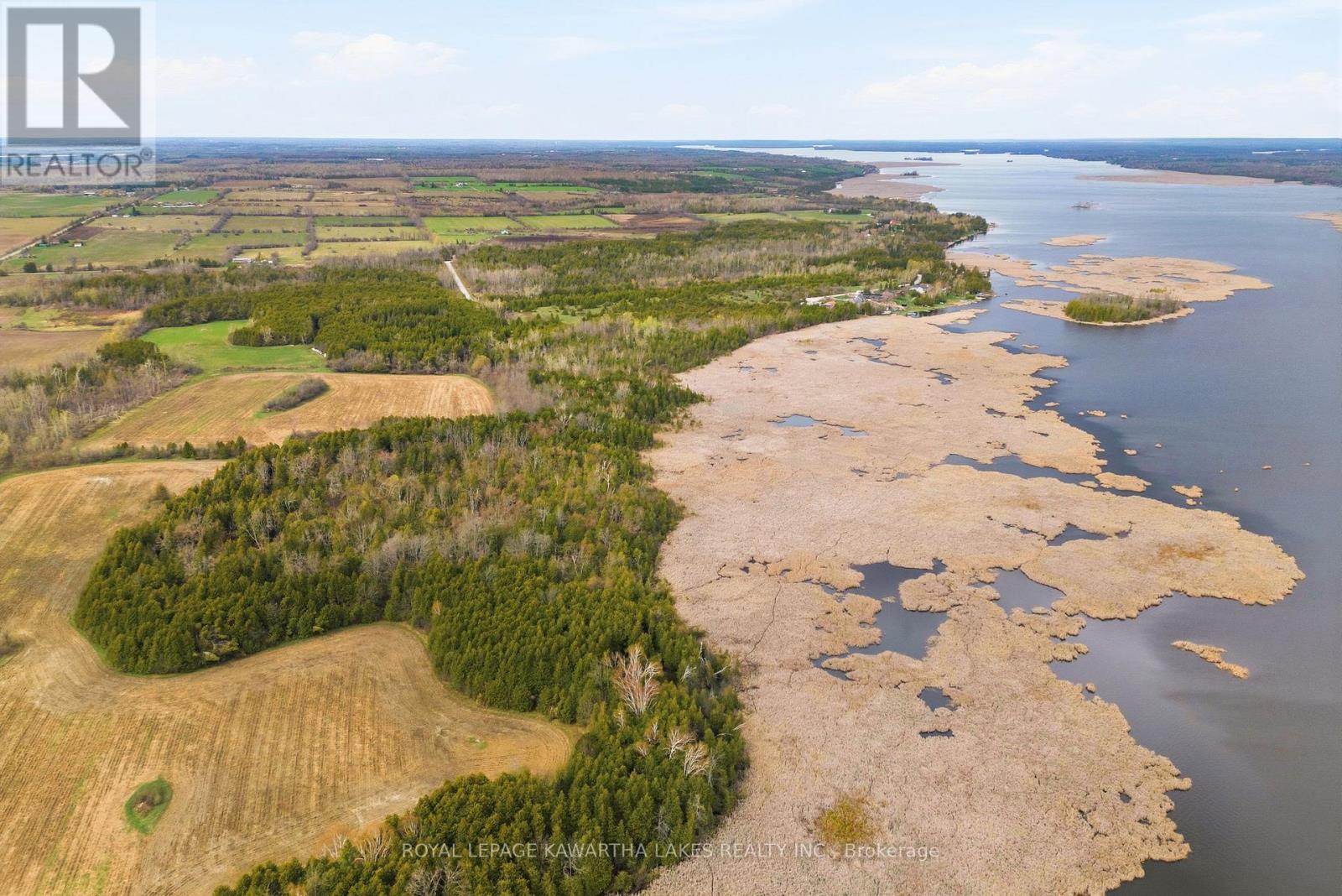 Pt Lt 17 Southside Road, Kawartha Lakes (Emily), Ontario  K9V 4R5 - Photo 8 - X13080968