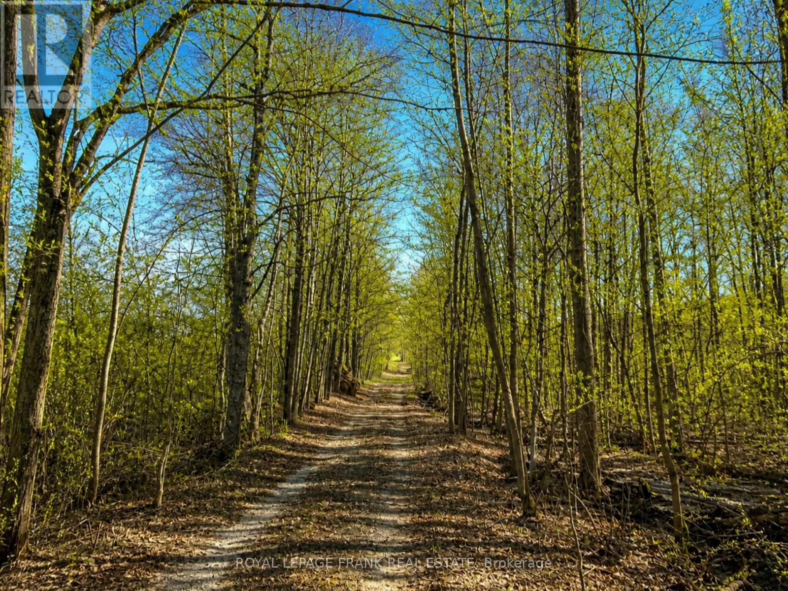 929 Baxter Road, Trent Hills, Ontario  K0L 1Y0 - Photo 4 - X13081322