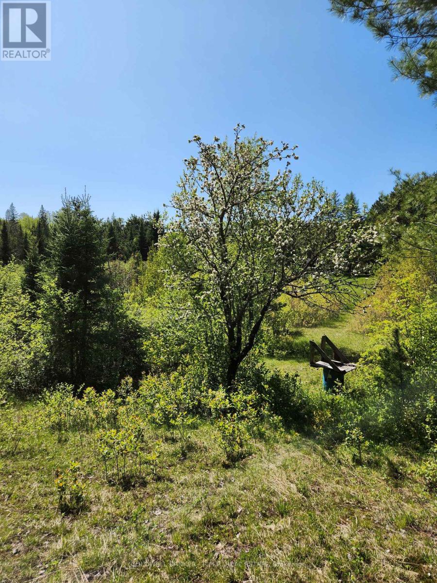 1274 Holland Lake Road, Bancroft (Dungannon Ward), Ontario  K0L 1C0 - Photo 33 - X13081508
