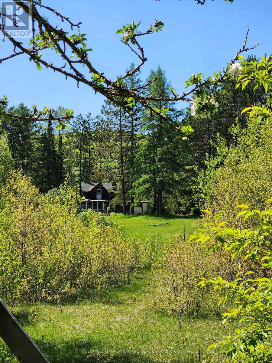 1274 Holland Lake Road, Bancroft (Dungannon Ward), Ontario  K0L 1C0 - Photo 34 - X13081508
