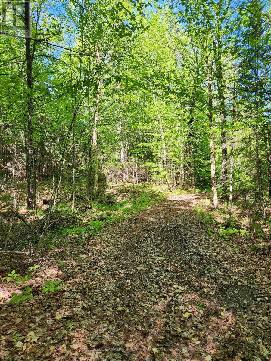 1274 Holland Lake Road, Bancroft (Dungannon Ward), Ontario  K0L 1C0 - Photo 36 - X13081508