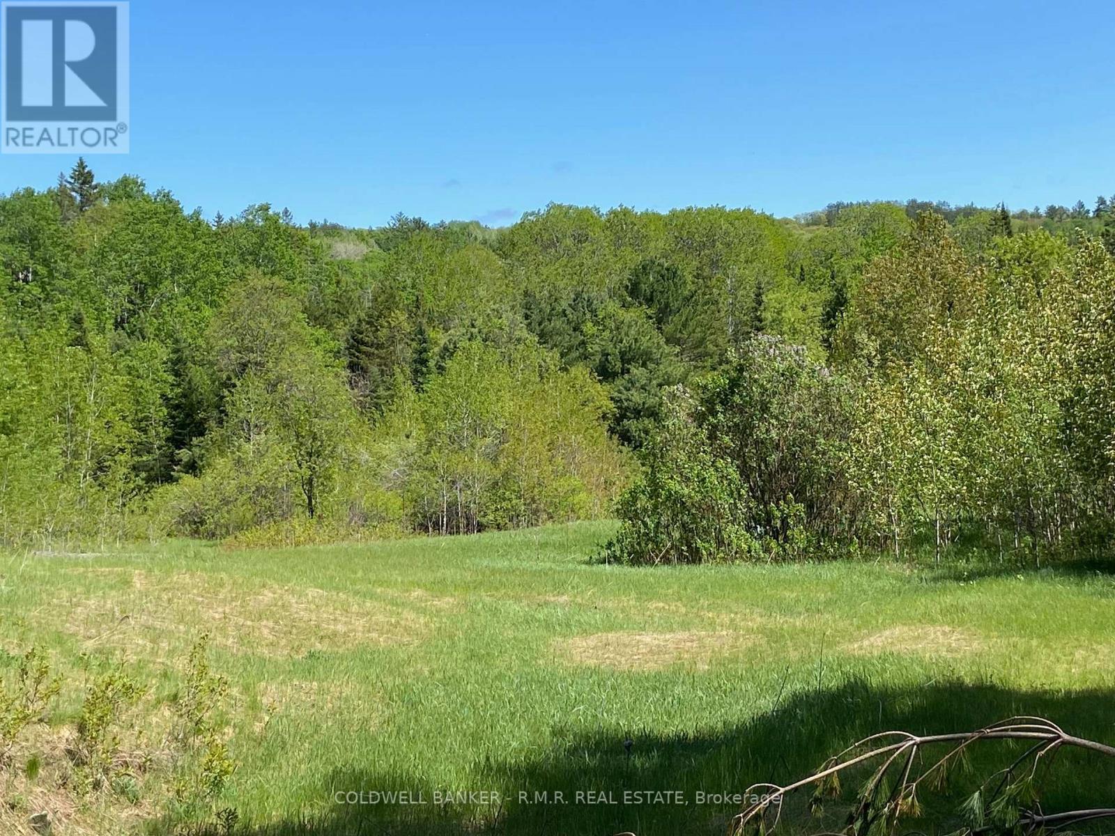 1274 Holland Lake Road, Bancroft (Dungannon Ward), Ontario  K0L 1C0 - Photo 4 - X13081508