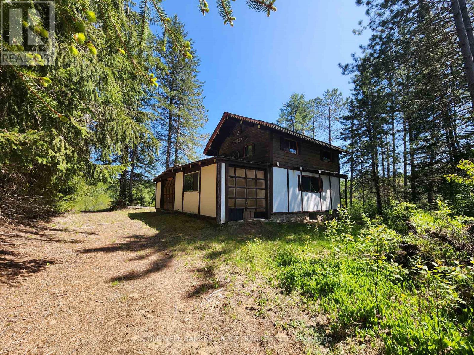 1274 Holland Lake Road, Bancroft (Dungannon Ward), Ontario  K0L 1C0 - Photo 5 - X13081508