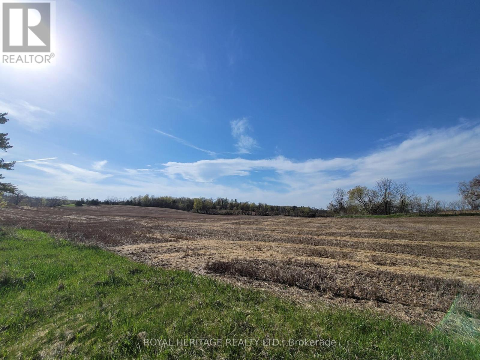 298 6th Line W, Trent Hills (Campbellford), Ontario  K0L 1L0 - Photo 4 - X13081834