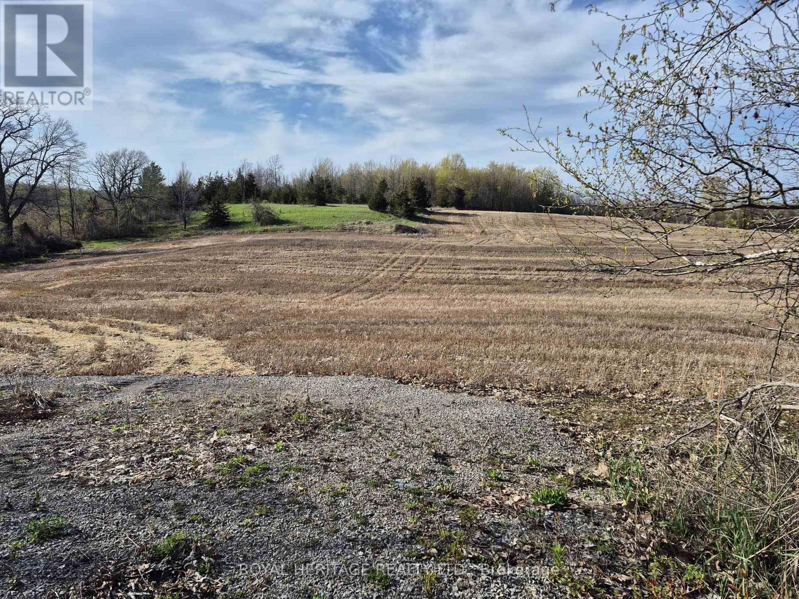 298 6th Line W, Trent Hills (Campbellford), Ontario  K0L 1L0 - Photo 6 - X13081834