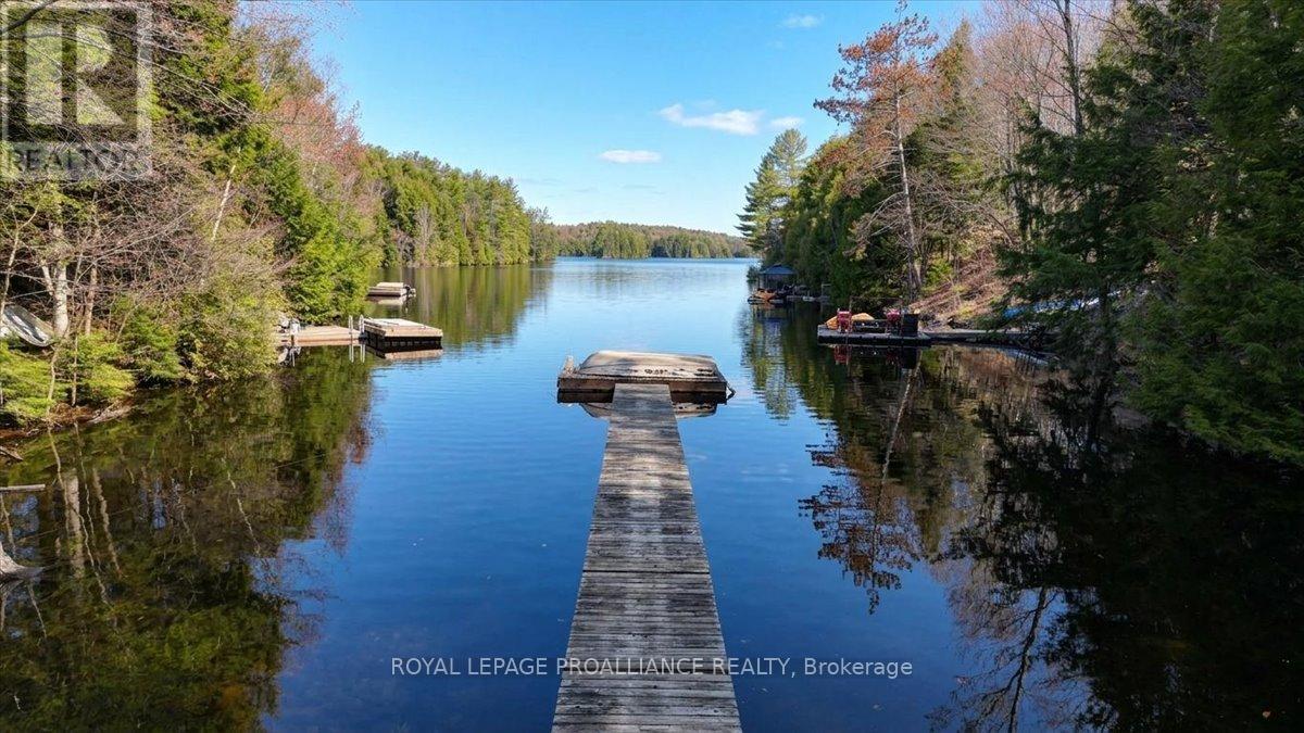 1407 Spooks Bay Lane, Highlands East (Cardiff Ward), Ontario  K0L 1A0 - Photo 42 - X13082710