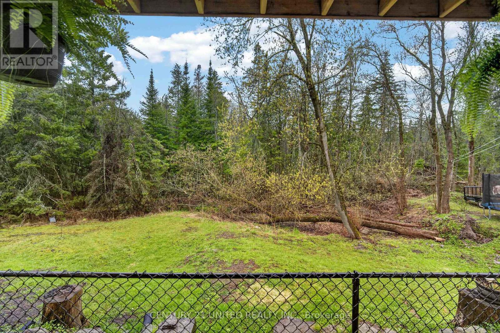 39 Concession Street, Havelock-Belmont-Methuen (Havelock), Ontario  K0L 1Z0 - Photo 34 - X13083110