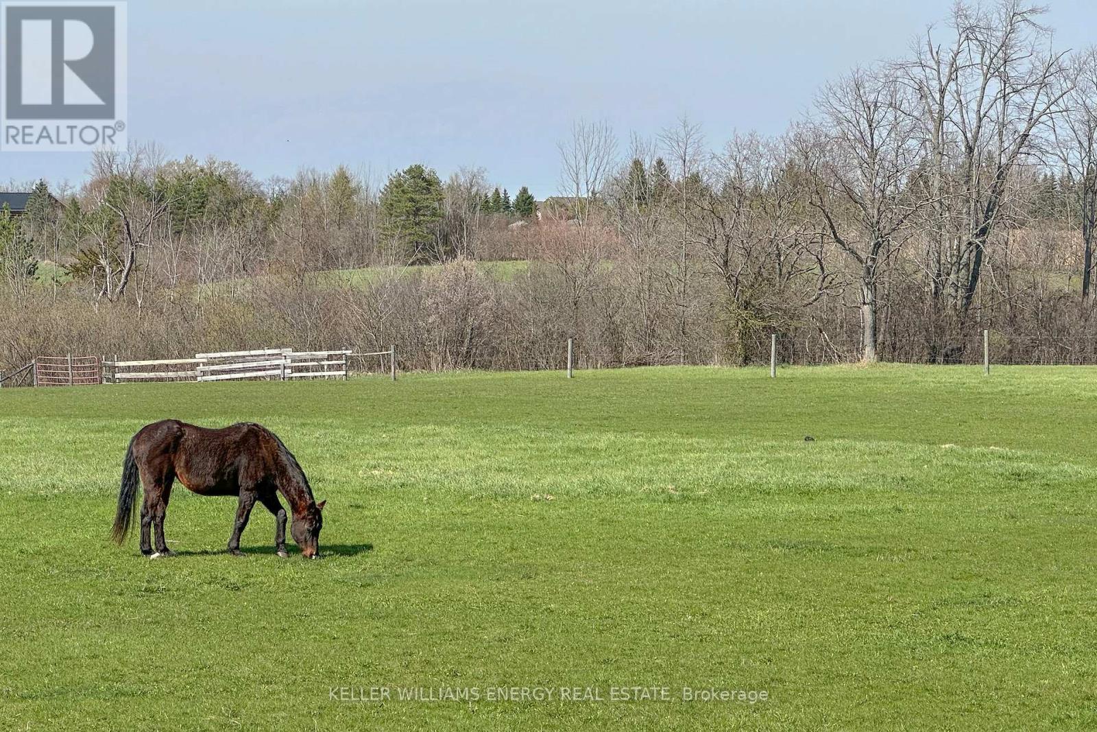 325 Zion Line, Cavan Monaghan (Cavan Twp), Ontario  L0A 1G0 - Photo 43 - X13083544