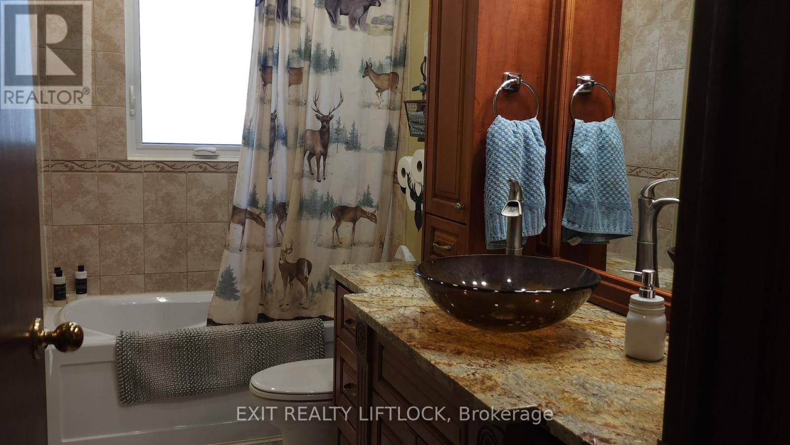 178 Adam & Eve Road, Trent Lakes, Ontario  K0L 1J0 - Photo 10 - X13085730