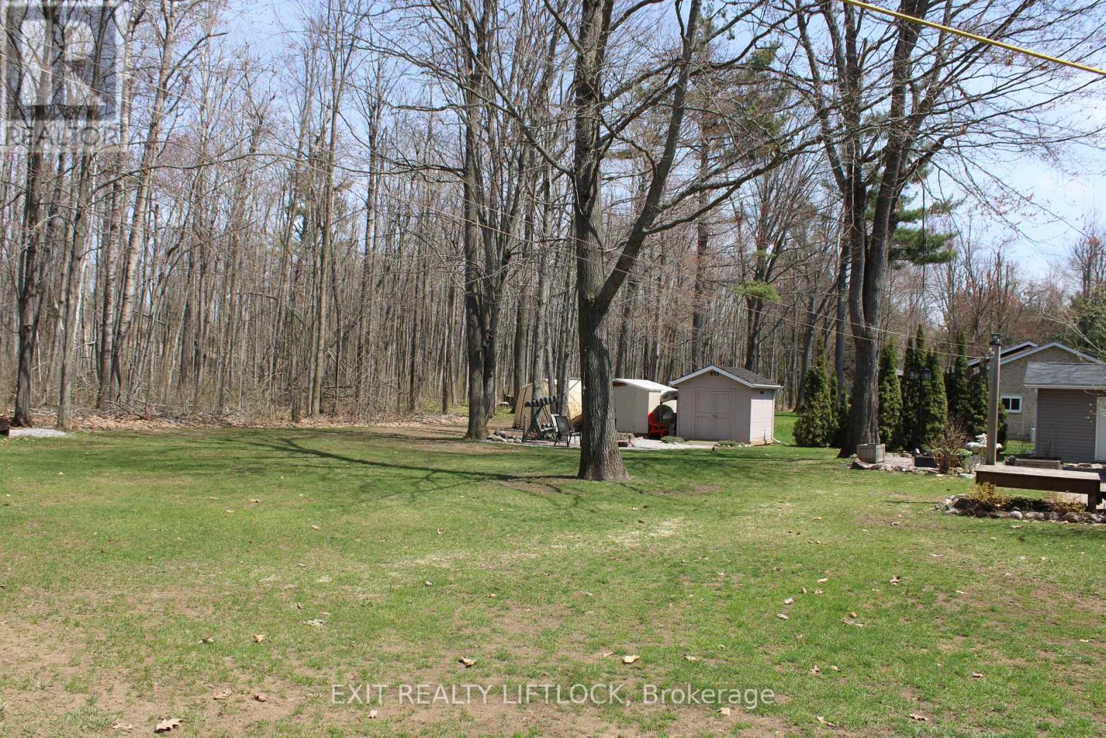 178 Adam & Eve Road, Trent Lakes, Ontario  K0L 1J0 - Photo 38 - X13085730