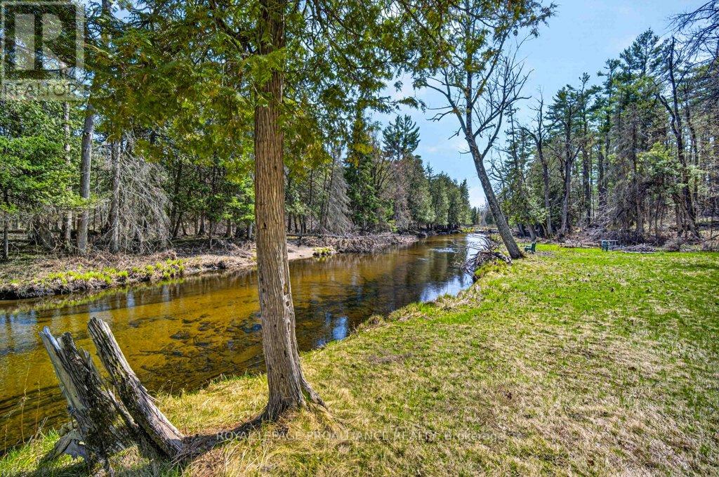 2406 Northeys Bay Road, North Kawartha, Ontario  K0L 2H0 - Photo 40 - X13090502