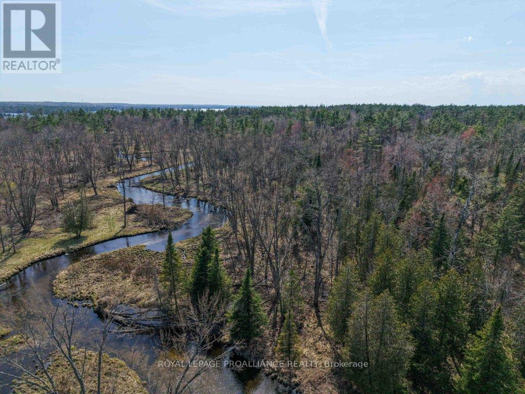 2406 Northeys Bay Road, North Kawartha, Ontario  K0L 2H0 - Photo 47 - X13090502