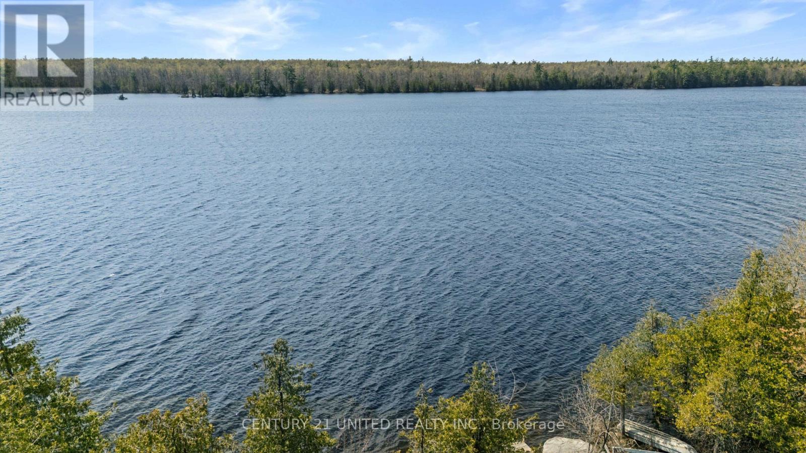 11 Birch Terrace, Trent Lakes, Ontario  K0L 1J0 - Photo 36 - X13092036
