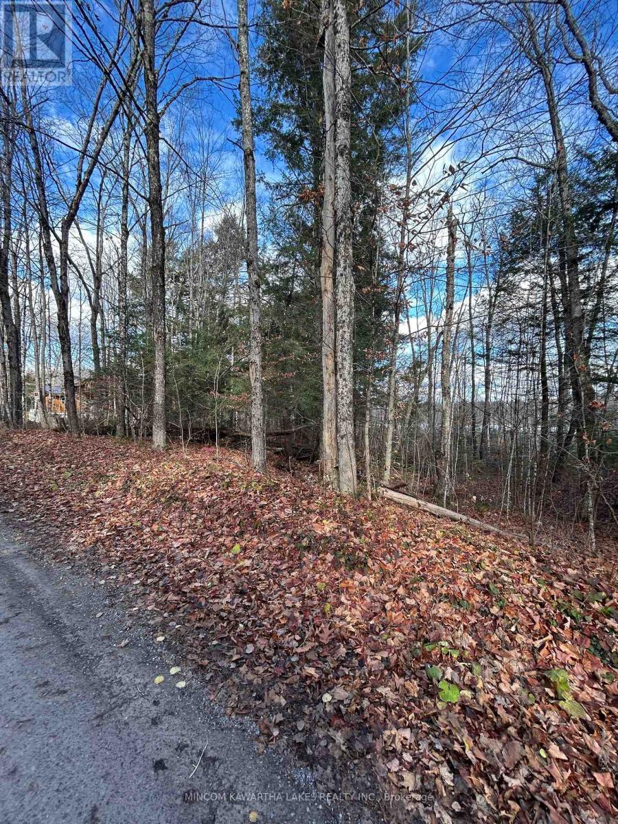 0 Mill Lake Road, North Kawartha, Ontario  K0L 1A0 - Photo 16 - X13092704