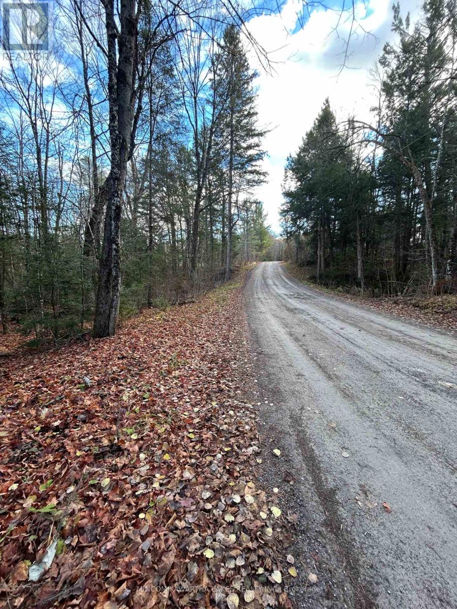 00 Mill Lake Road, North Kawartha, Ontario  K0L 1A0 - Photo 13 - X13092716