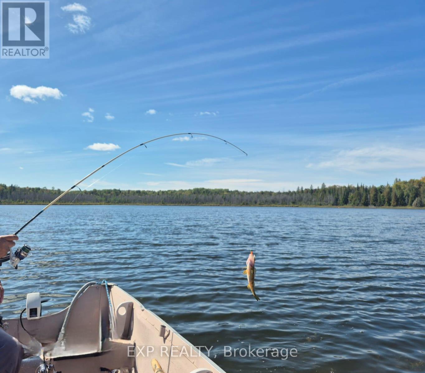 1719 Weslemkoon Lake Road, Limerick, Ontario  K0L 1C0 - Photo 41 - X13096706