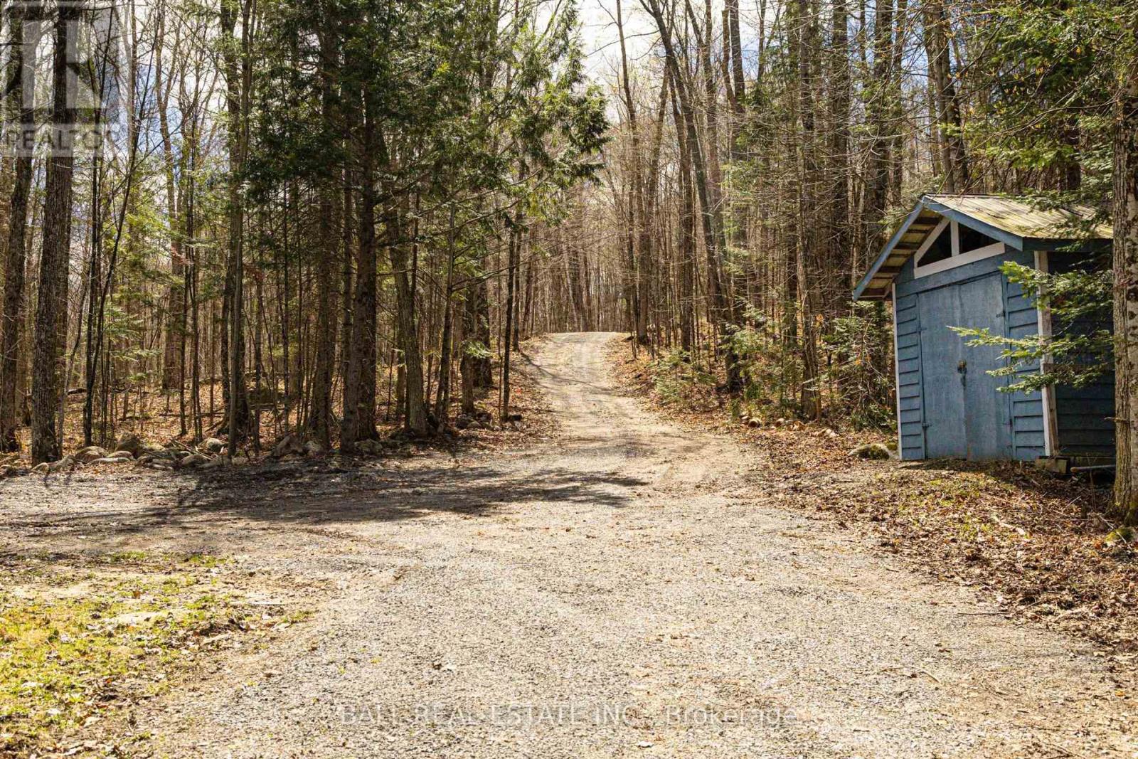 1154 Surveyor Drive, Highlands East (Monmouth), Ontario  K0L 2Y0 - Photo 10 - X13102266