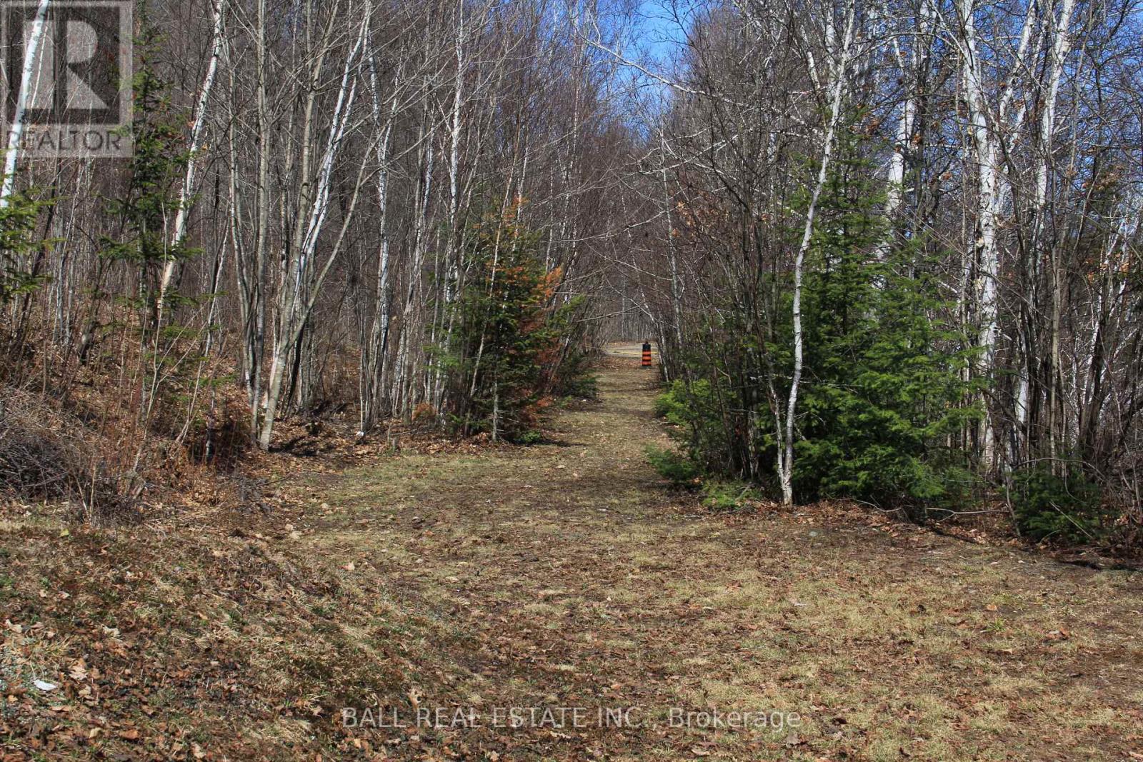 1142 Cardiff Lake Road, Highlands East (Cardiff Ward), Ontario  K0L 3C0 - Photo 24 - X13102936