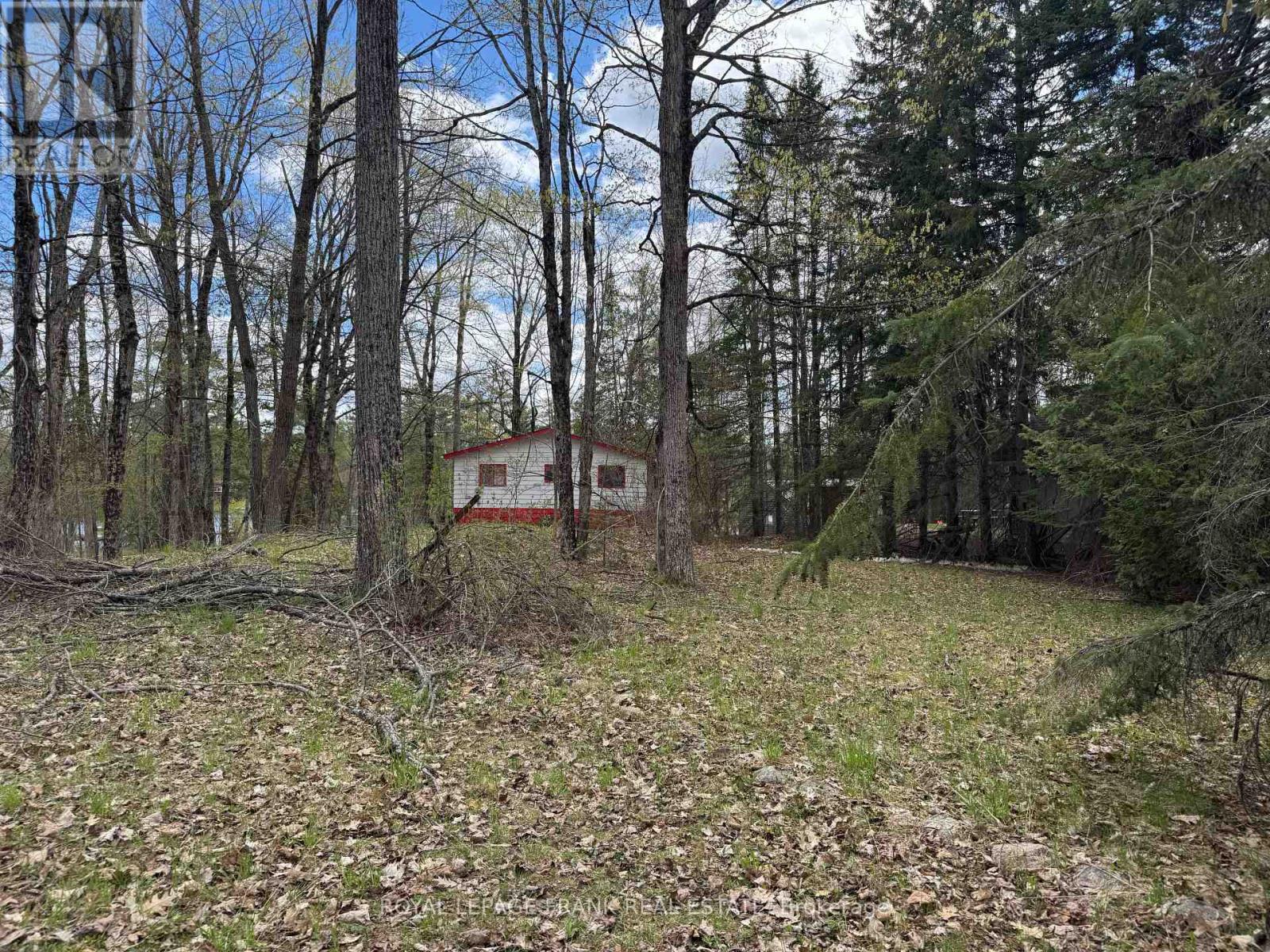 164 Hill Drive, Trent Lakes, Ontario  K0L 1J0 - Photo 2 - X13104372