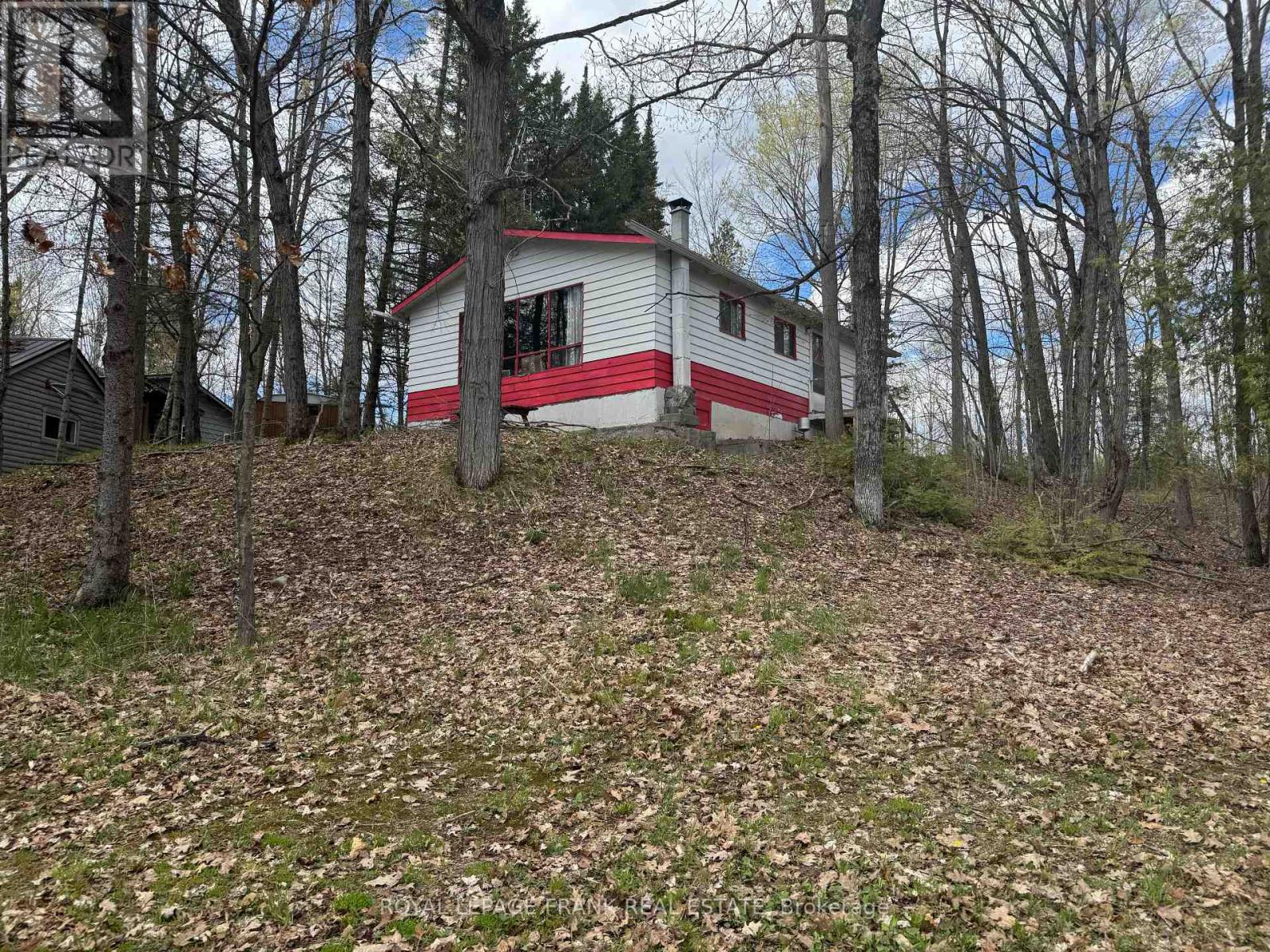 164 Hill Drive, Trent Lakes, Ontario  K0L 1J0 - Photo 4 - X13104372