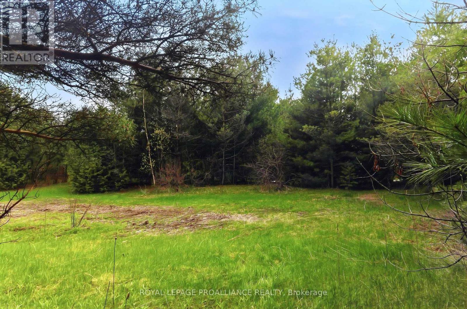 0 Woodland Avenue, Port Hope (Garden Hill), Ontario  L0A 1B0 - Photo 7 - X13105324
