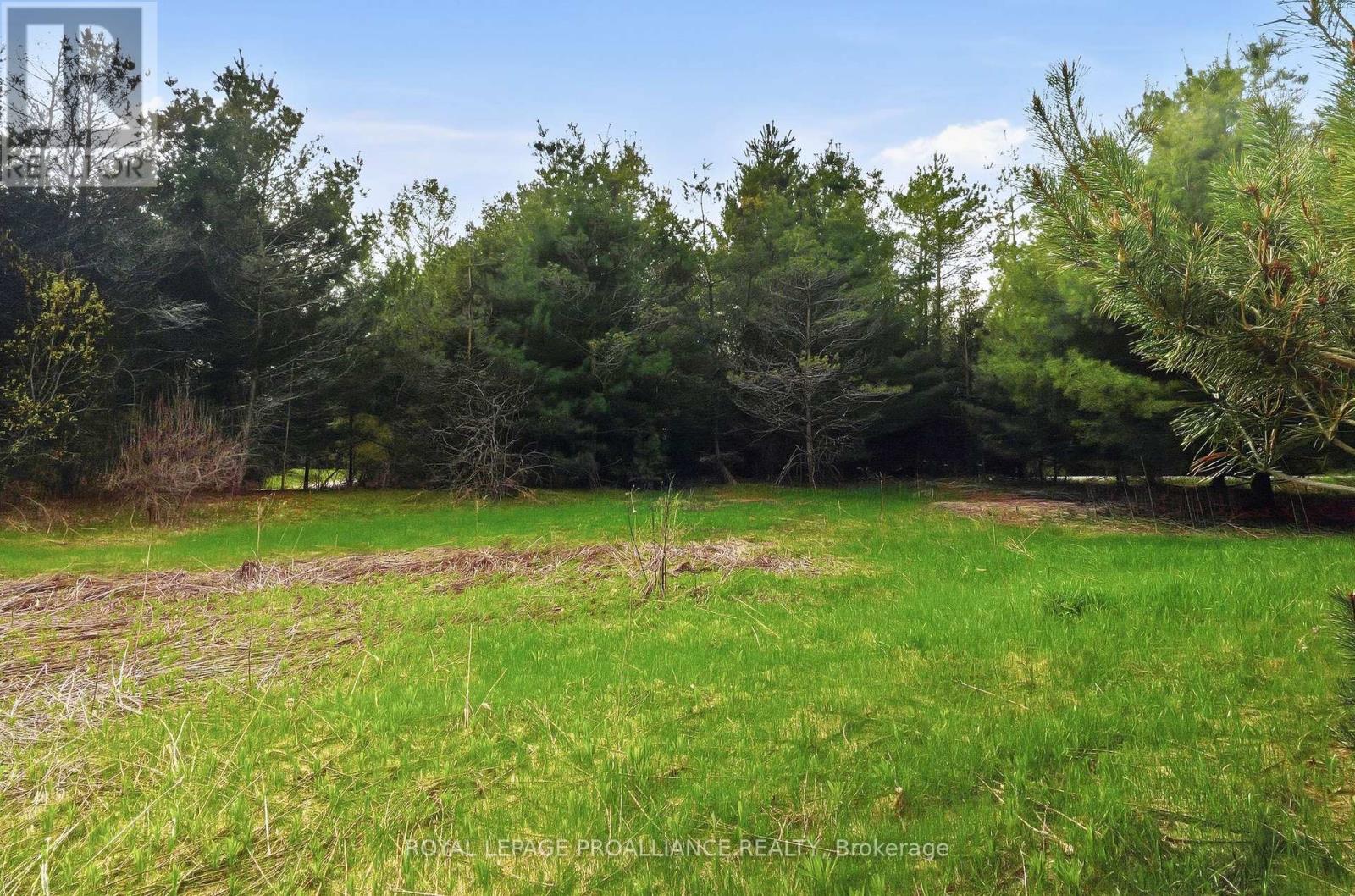 0 Woodland Avenue, Port Hope (Garden Hill), Ontario  L0A 1B0 - Photo 8 - X13105324
