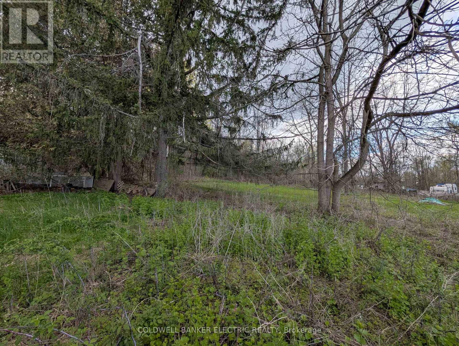 4 Taylor Lane, Trent Hills (Campbellford), Ontario  K0L 1L0 - Photo 16 - X13105724