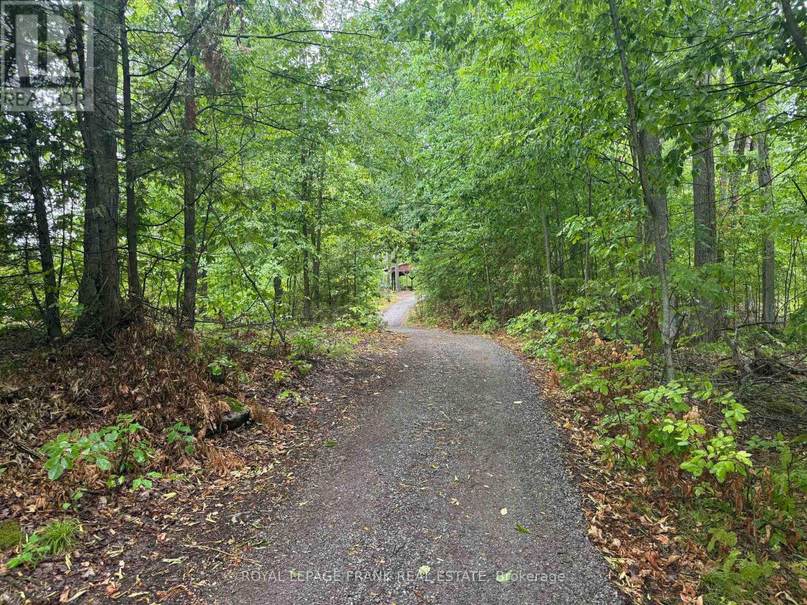 Lot 38 Sumcot Drive, Trent Lakes, Ontario  K0L 1J0 - Photo 3 - X13106730